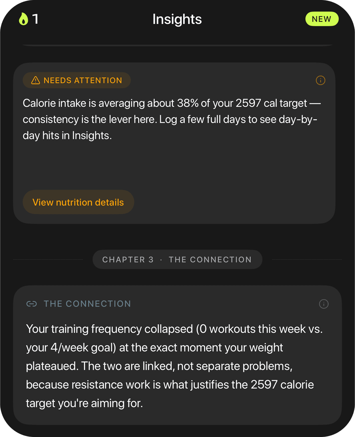 AI coaching insights connecting nutrition and training